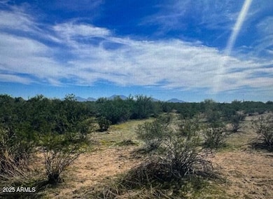 0000 S Vekol --, Gila Bend, AZ 85337 - photo 3