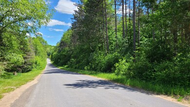 13167 Mc Coy Rd, Natural Bridge, NY 13665 - photo 4