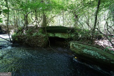 0 Springdale Dr unit 10647918, Palmetto, GA 30268 - photo 7