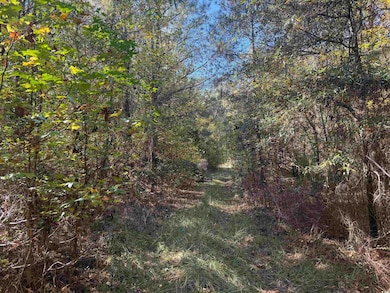 793 Puncheon Creek Dr, Andrews, SC 29510 - photo 2