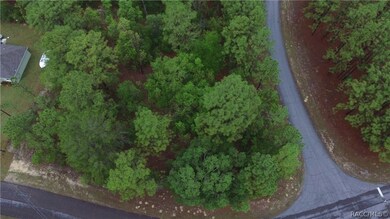 9290 N Marcus Way, Citrus Springs, FL 34433 - photo 6