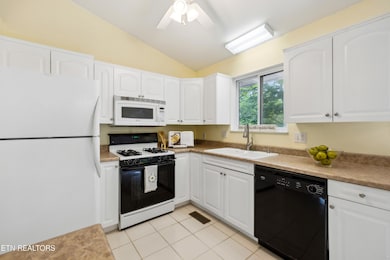 635 W Gold Dust Dr, Pigeon Forge, TN 37863 - photo 6