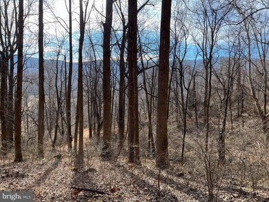 0 Harris Hollow Rd unit VARP2000934, Washington, VA 22747 - photo 5