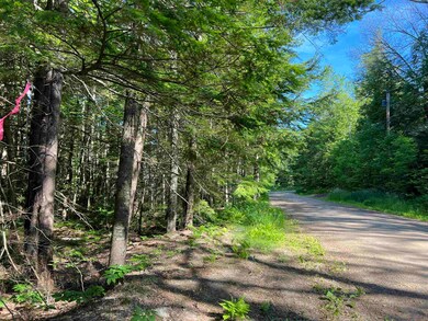 26 Huttwil Dr unit M104/L001, Madison, NH 03849 - photo 2