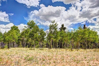 59 Pelican Place, Como, CO 80432 - photo 3