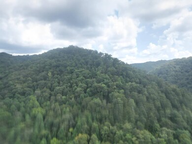 0 Rd, Wharncliffe, WV 24862 - photo 3