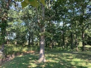 Austin Lake Road