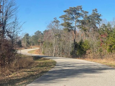 0 Terry Coal Rd unit RA20256681, Crofton, KY 42217 - photo 4