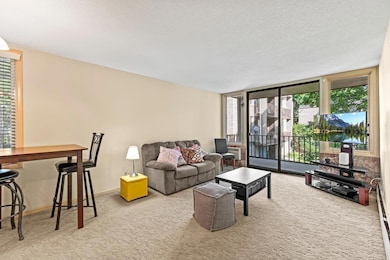 4040 15th Ave S unit 10H, Minneapolis, MN 55407 - photo 4