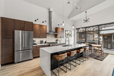 1243 Urban Way unit 2, Steamboat Springs, CO 80487 - photo 5