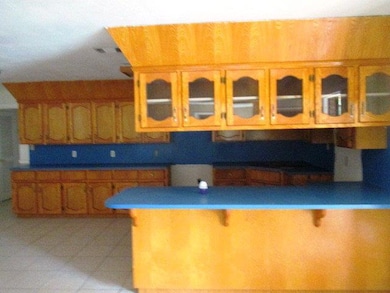 4973 Old La Blanca Rd, Donna, TX 78537 - photo 5