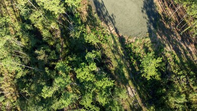 Fm 3173, Westwood, TX 75951 - photo 3