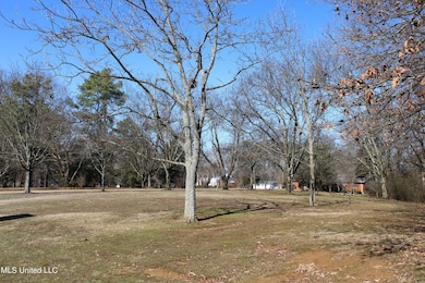 8568 Goodman Rd, Olive Branch, MS 38654 - photo 7