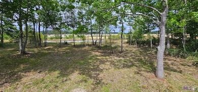 3270 Nesom Rd, Denham Springs, LA 70706 - photo 4