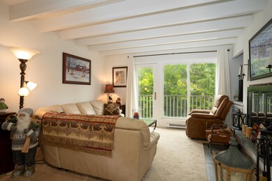 0 Birch Hill Rd unit Sugar Maple 5003081, Winhall, VT 05340 - photo 4