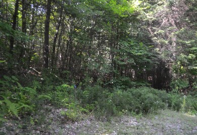 35 Driftwood Dr, Moultonborough, NH 03254 - photo 7