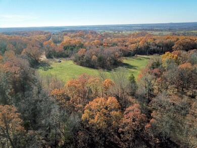 DJI_0291