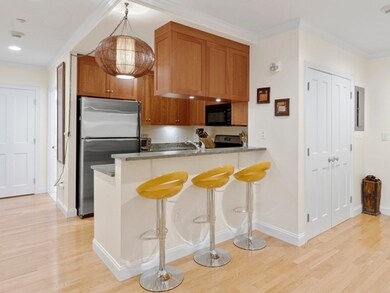 2-14 Saint Paul St unit 101, Brookline, MA 02446 - photo 3