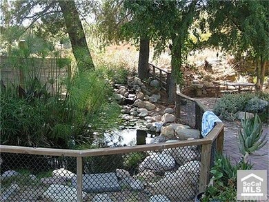 KOI POND AND WATER FEATURE