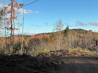 00 Thurley Rd unit 29-4, Ossipee, NH 03814 - photo 2