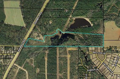 14500 Us Hwy 319 N, Thomasville, GA 31757 - photo 2