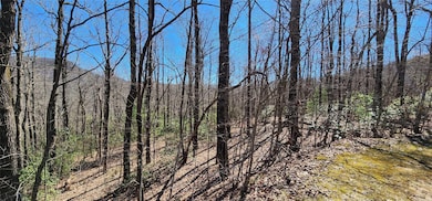 4.17 Acres Spruce Ln unit 28, Zirconia, NC 28790 - photo 4