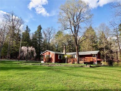 There is ample room for Gardening in the yard! The
