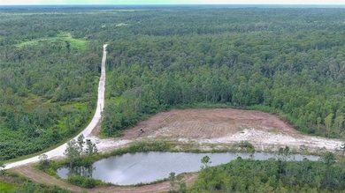 4706 Omega Ranch Rd, New Smyrna Beach, FL 32168 - photo 7