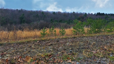 296 Hugg Rd, Elmira, NY 14901 - photo 6