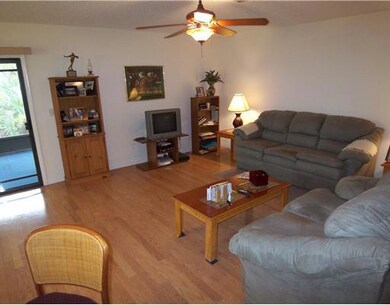 Living Room. True hard wood floors,freshly painted