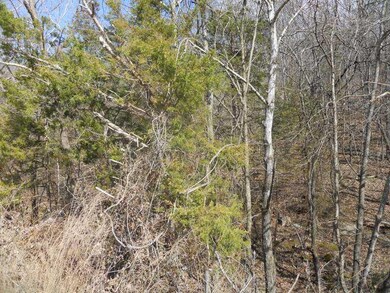 0 Stout Mountain Rd unit 729094, Winslow, AR 72959 - photo 3