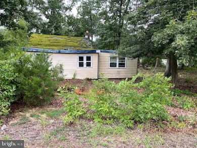 109 Holly Rd, Williamstown, NJ 08094 - photo 4