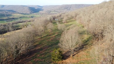 157 Acres Hazel Valley Rd, Fayetteville, AR 72701 - photo 6