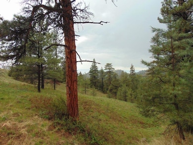 15 Shady Spring Ln, Cascade, MT 59421 - photo 2