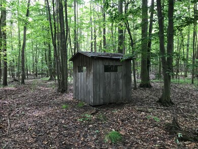 0 W 48th St unit 18035343, Newaygo, MI 49337 - photo 5