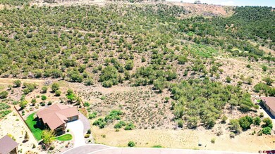 605 & 615 SE Pine St, Cedaredge, CO 81413 - photo 7