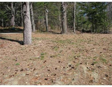 Land/Lot. 200 feet of road frontage