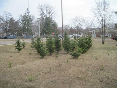 237 N Oak St, Adams, WI 53910 - photo 3