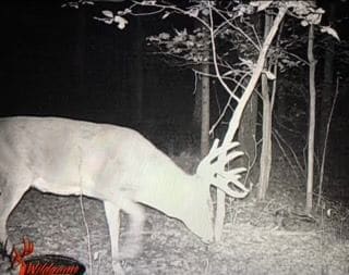 9 Coon Hollow Rd, Blue Creek, OH 45616 - photo 4