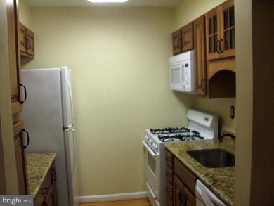 5833 Cove Landing Rd unit 202, Burke, VA 22015 - photo 6