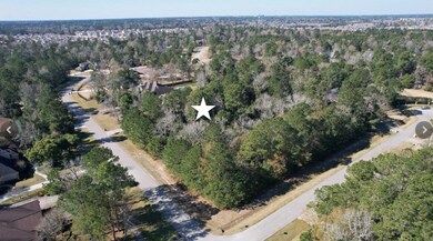 27315 E Benders Landing Blvd, Spring, TX 77386 - photo 7