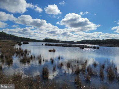 2416 Asquith Island Rd, Crapo, MD 21626 - photo 7