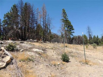 Clearing towards the rear of property.