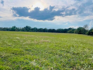 0 Shady Grove Rd unit 25037910, Leslie, AR 72645 - photo 5