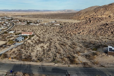 6981 Alturas Dr, Joshua Tree, CA 92252 - photo 7