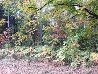 00 S Lakola Rd unit Lot 2, Reed City, MI 49677 - photo 3