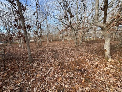 36 Boylston Dr, Edgartown, MA 02539 - photo 2