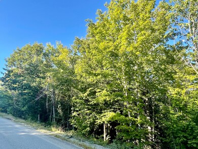 IMG_8451