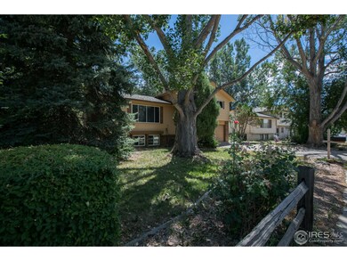 Front Elevation and Yard
