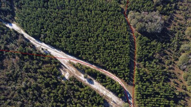 0 Wildlife Way unit 1085697, Callahan, FL 32011 - photo 7